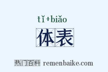 体表是什么意思的图片